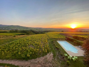 Au cœur des vignes Moulin à Vent